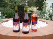 Blauer Bernburger Wein Jahrgang 2008